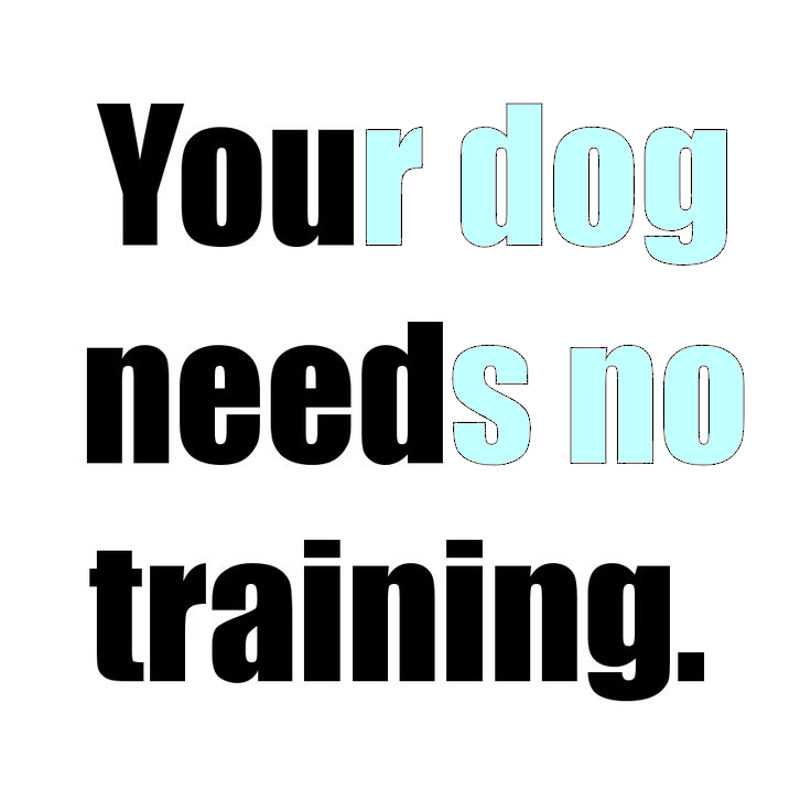 QQ-You-need-trainin-cyan-300x300-1