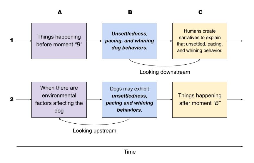 Graphic explaining the concept of looking downstream or looking upstream. This relates to doing the work needed to accomplish being able to look downstream to see one's self.
