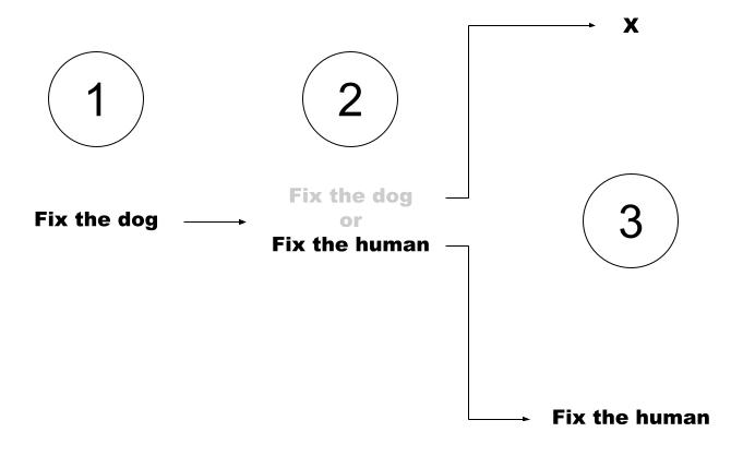Graphic illustrating the break in the thought process, how most people think it's the dog that gets changed, not the human, when it's the human that is the start of it all. It's not what we've been told. 